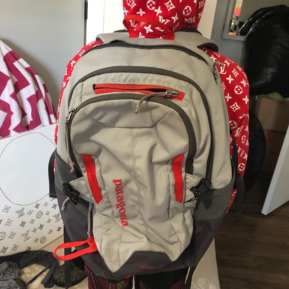 Patagonia backpack - Picture 2 of 7